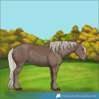 Horse Color:Silver Black