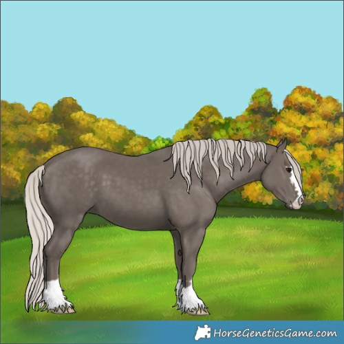 Horse Color:Silver Black 