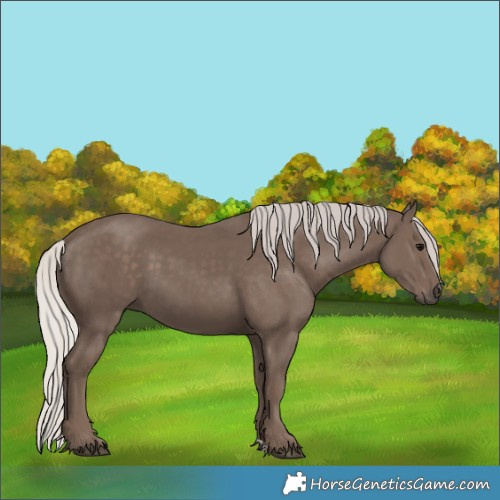 Horse Color:Silver Black 