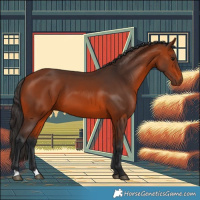 Horse Color:Brown 