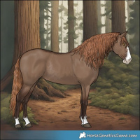 Horse Color:Liver Red Dun Sabino Rabicano
