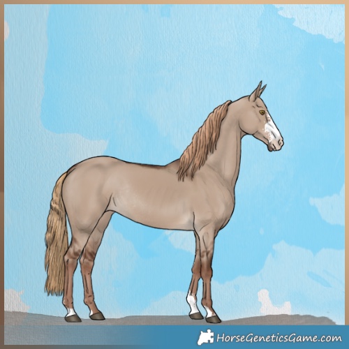 Horse Color:Liver Red Dun Sabino Rabicano 