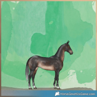 Horse Color:Brown Rabicano 