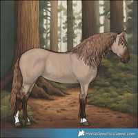 Horse Color:Liver Red Dun Sabino Rabicano