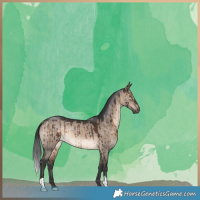 Horse Color:Brown Dun Rabicano Brindle 