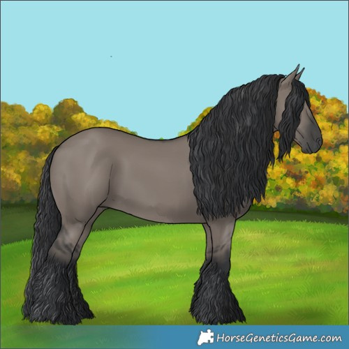 Horse Color:Grullo 
