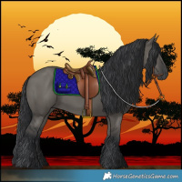 Horse Color:Grullo 