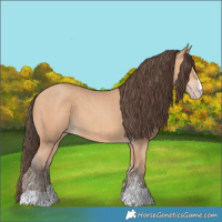 Horse Color:Amber Champagne 