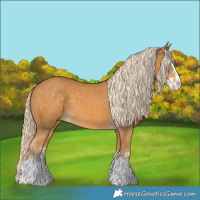 Horse Color:Palomino Splash  and Palomino Splash 