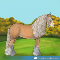 Horse Color:Palomino Splash  and Palomino Splash 