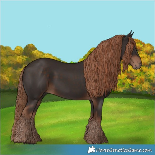 Horse Color:Liver Chestnut Rabicano 
