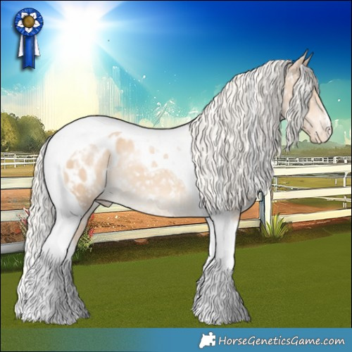 Horse Color:Cremello Tobiano Appaloosa 