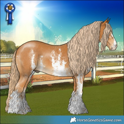 Horse Color:Palomino Sabino 