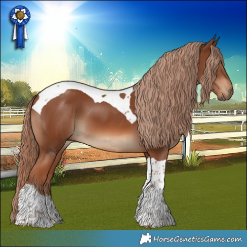Horse Color:Chestnut Tobiano 