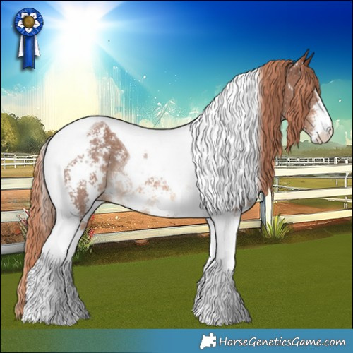 Horse Color:Chestnut Sabino Tobiano Rabicano 