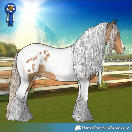 Horse Color:Chocolate Palomino Tobiano Appaloosa