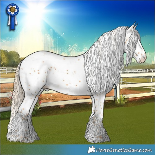 Horse Color:Palomino Sabino 