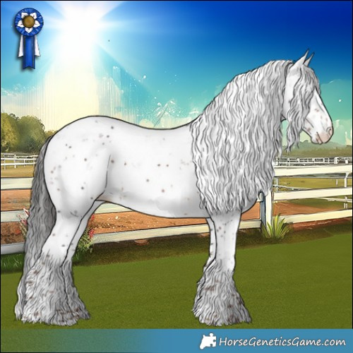 Horse Color:Liver Chestnut Sabino Appaloosa 