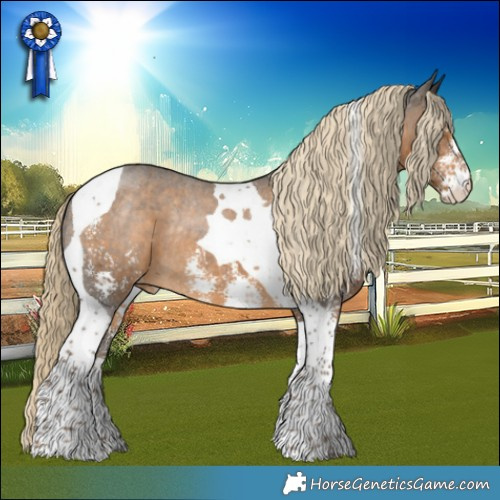 Horse Color:Chocolate Palomino Sabino Tobiano Appaloosa Rabicano 