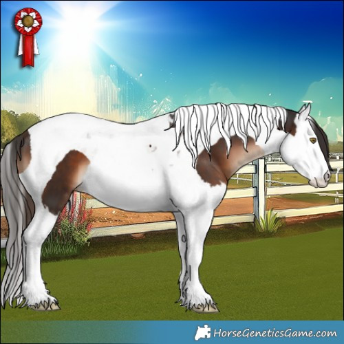 Horse Color:Liver Chestnut Splash Tobiano 