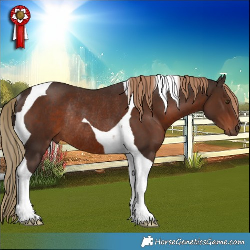 Horse Color:Liver Chestnut Tobiano Rabicano 