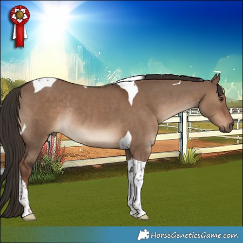 Horse Color:Liver Red Dun Tobiano Rabicano