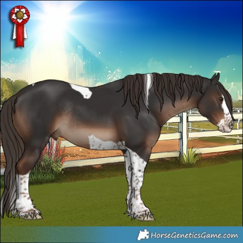 Horse Color:Liver Chestnut Splash Tobiano Rabicano 