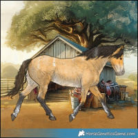 Horse Color:Powder White Buckskin Roan Rabicano 