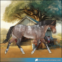 Horse Color:Powder White Brown Roan Rabicano