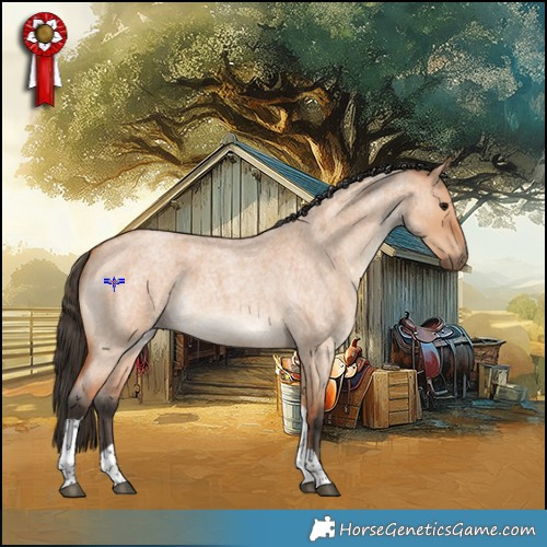 Horse Color:Bay Roan Dun Tobiano Rabicano 