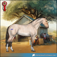 Horse Color:Bay Roan Dun Tobiano Rabicano