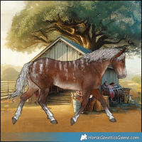 Horse Color:Powder White Silver Brown