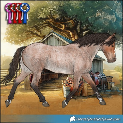 Horse Color:Bay Roan Rabicano