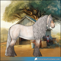 Horse Color:Silver Bay Roan Dun Rabicano 