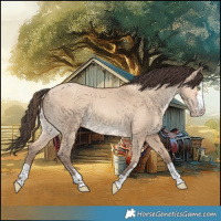 Horse Color:Amber Champagne Dun Rabicano 