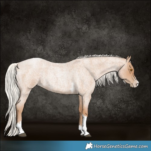 Horse Color:Silver Blue Roan Pearl Tobiano Frame 