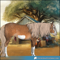 Horse Color:Chocolate Palomino Splash Frame 