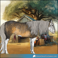 Horse Color:Silver Buckskin Splash Rabicano 