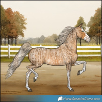 Horse Color:Chocolate Palomino and Palomino Roan Splash