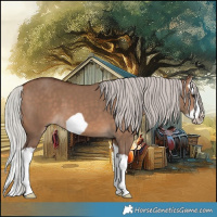 Horse Color:Silver Brown Dun Splash Frame 