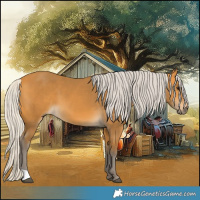 Horse Color:Silver Buckskin 