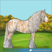 Horse Color:Palomino Splash  and Palomino Splash Near Leopard 