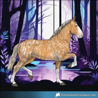 Horse Color:Palomino Dun Splash Appaloosa  and Palomino Splash 