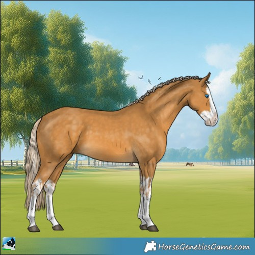 Horse Color:Palomino Splash and Palomino Splash