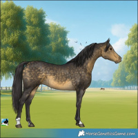 Horse Color:Buckskin 