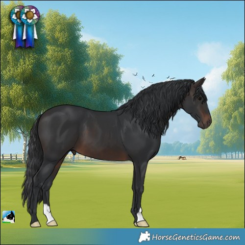 Horse Color:Brown 
