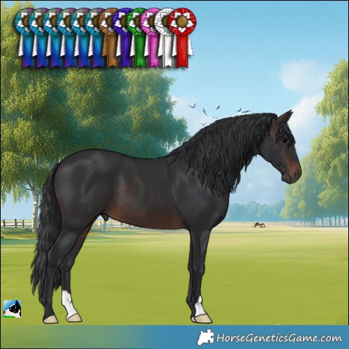 Horse Color:Brown 