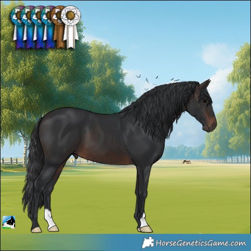 Horse Color:Brown 