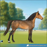 Horse Color:Buckskin