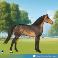 Horse Color:Buckskin 